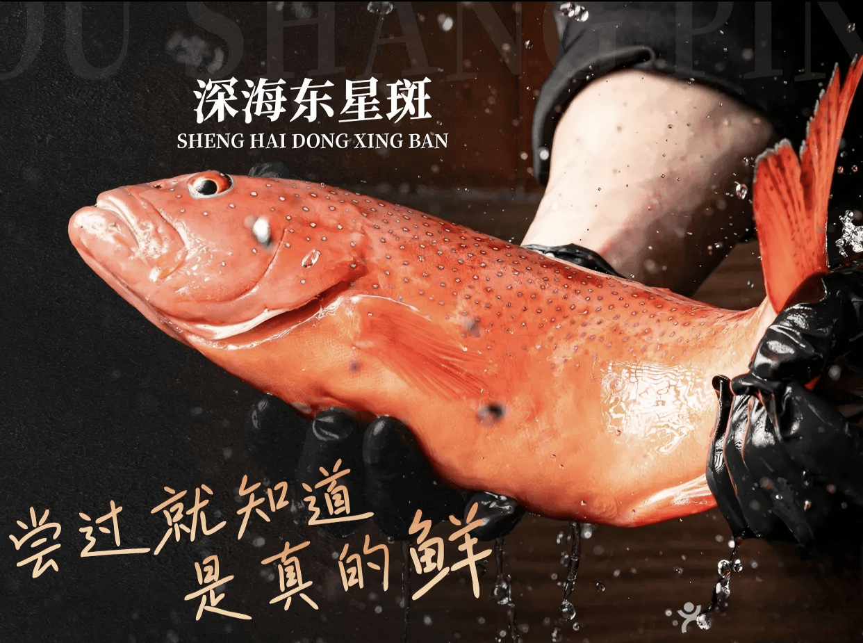 捞与轻奢私房菜海鲜大排档及现做馆口碑精选pg电子平台2026