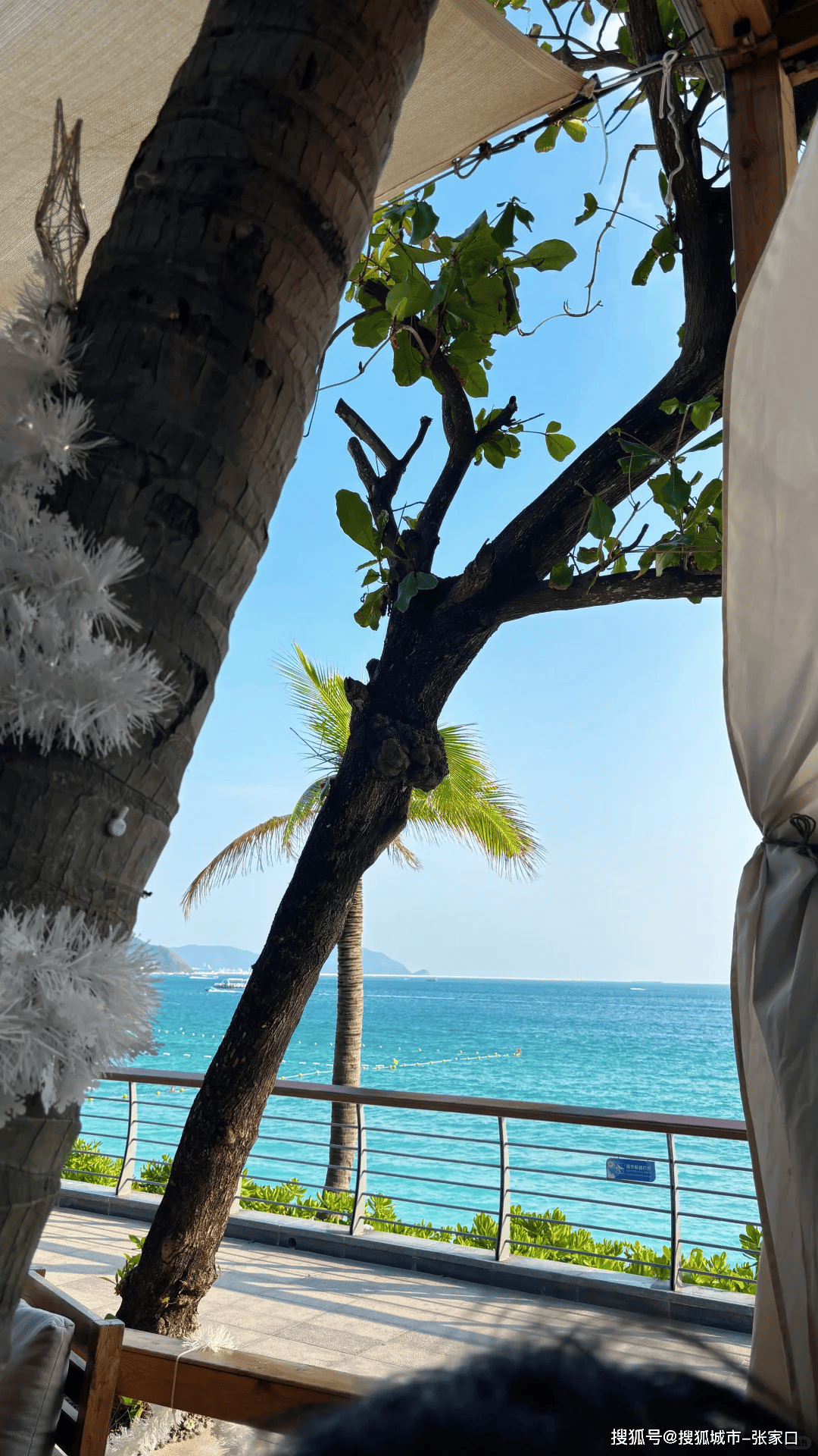 三亚免税购物攻略！省下的钱再吃顿海鲜！pg电子模拟器免费版春节去三亚怎么玩(图2)